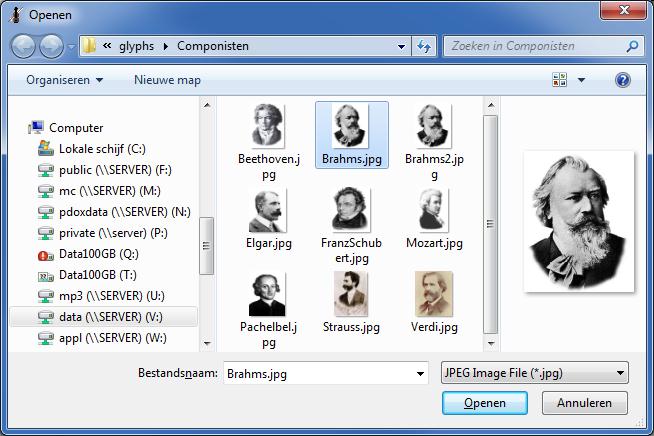 picture_selection-brahms.jpg